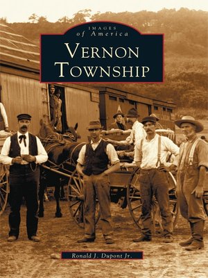 cover image of Vernon Township